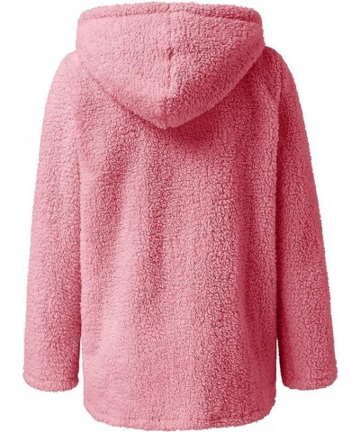 Fleece Jacket Women Fuzzy Zip Up Coats Oversized Winter Warm Sweatshirt Sherpa Teddy Coat Loose Casual Hoodies 2023 03fleece ...