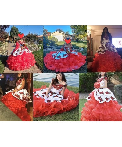 Vintage Flowers Embroidery Quinceanera Dresses Ruffles Prom Ball Gown Sweet 15 16 Dress Style5-royal Blue $78.90 Dresses