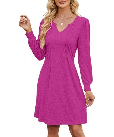 Women Tunic Dress V Neck with Lantern Long Sleeve Casual Loose Flowy Swing Shift Dresses S-XL F-pink $13.05 Dresses