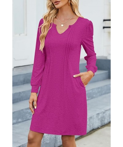 Women Tunic Dress V Neck with Lantern Long Sleeve Casual Loose Flowy Swing Shift Dresses S-XL F-pink $13.05 Dresses